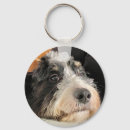 Search for bernese mountain dog key rings Cute