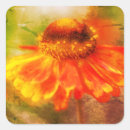 Search for zinnia stickers Botanical