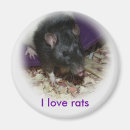 Search for cute rats magnets Pet