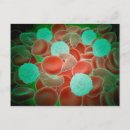 Search for immune system postcards Science