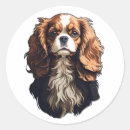 Search for cavalier king charles spaniel stickers Purebred