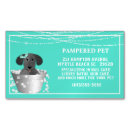 Search for pet sitter magnets Professional