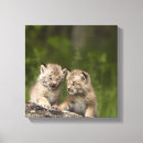 Search for siblings canvas prints Outdoors
