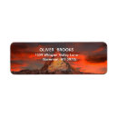 Search for rocky mountain return address labels Evergreen pine tree country