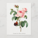 Search for antique butterfly illustration postcards Pink