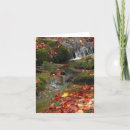 Search for rapids cards Autumn