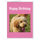 Search for golden doodle puppies cards Poodle