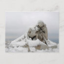 Search for 2009 horizontal postcards Happy