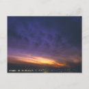 Search for phoenix postcards Sunset