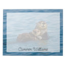 Search for sea otter Nature