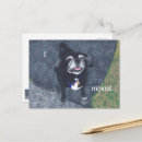 Search for pug stamp postcards New address
