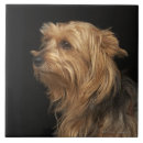 Search for profile tiles Dog