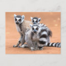 Search for madagascar postcards Tree