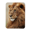 Search for danita delimont magnets Close up