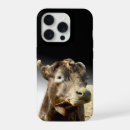Search for hay iphone cases Cow