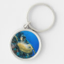 Search for green sea turtle key rings Ocean