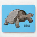 Search for tortoise mouse mats Shell