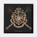 Search for hallows magnets Hogwarts