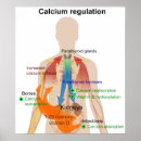 Search for regulations art Health
