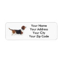 Search for basset hound return address labels Hounds