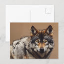 Search for wolf portrait postcards Dog