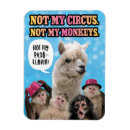 Search for monkey pic magnets Funny