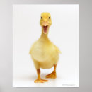 Search for digital camera posters Full length