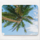 Search for tropical palm tree mouse mats Sky