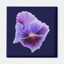 Search for pansy magnets Purple