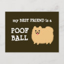 Search for poms postcards Pomeranian