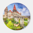 Search for fortress magnets Bridge