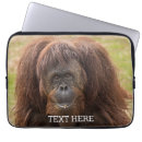 Search for orangutan gifts Monkey