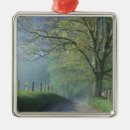 Search for smoky mountain christmas tree decorations Park