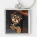 Search for bear face key rings Cute