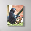 Search for wild apes art Primates