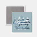 Search for snowflake magnets Winter season