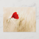Search for grassy postcards Nature