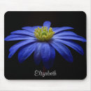 Search for gerbera daisy electronics Daisies