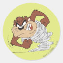 Search for spin stickers Tasmanian devil