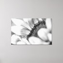Search for black white sunflower art Nature