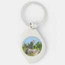 Search for iguanas key rings Nature