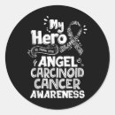 Search for coping stickers Risk factors for suicide