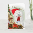 Search for samoyed christmas cards White
