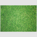 Search for green grass tissue paper Background