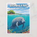 Search for florida manatee postcards Wildlife