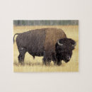 Search for yellowstone national park puzzles Buffalo
