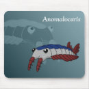 Search for prehistoric mouse mats Paleontology