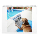 Search for working calendars Animal