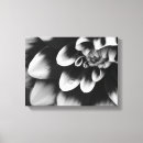 Search for black and white flowers canvas prints Botanical