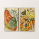 Search for cucurbita Pumpkin